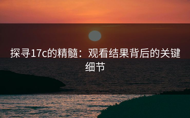 探寻17c的精髓：观看结果背后的关键细节