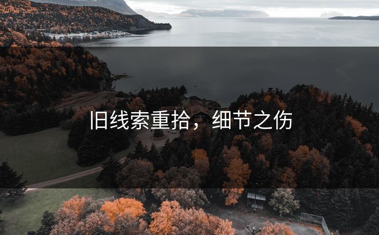 旧线索重拾，细节之伤