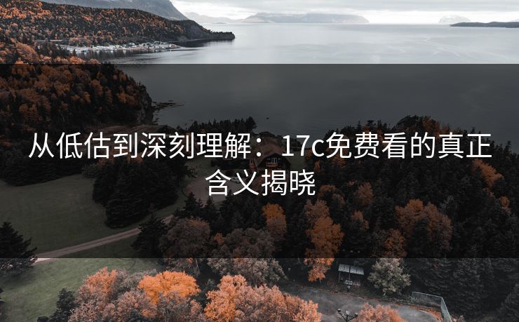 从低估到深刻理解：17c免费看的真正含义揭晓