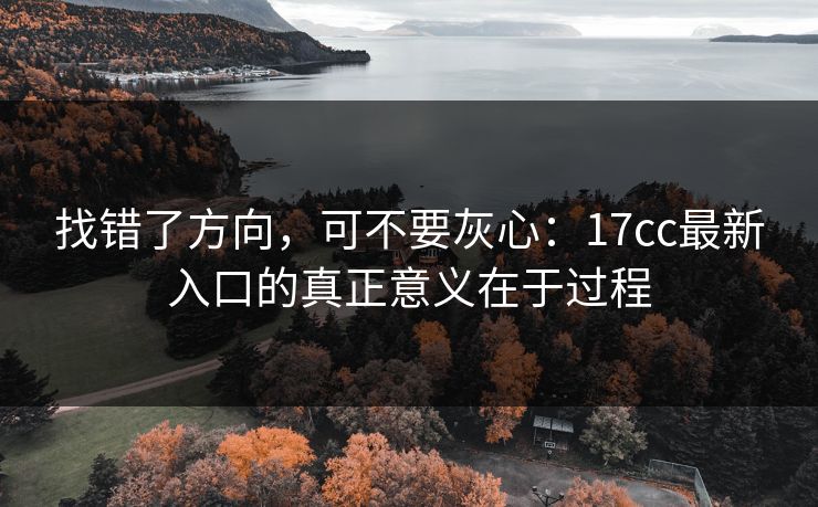找错了方向，可不要灰心：17cc最新入口的真正意义在于过程