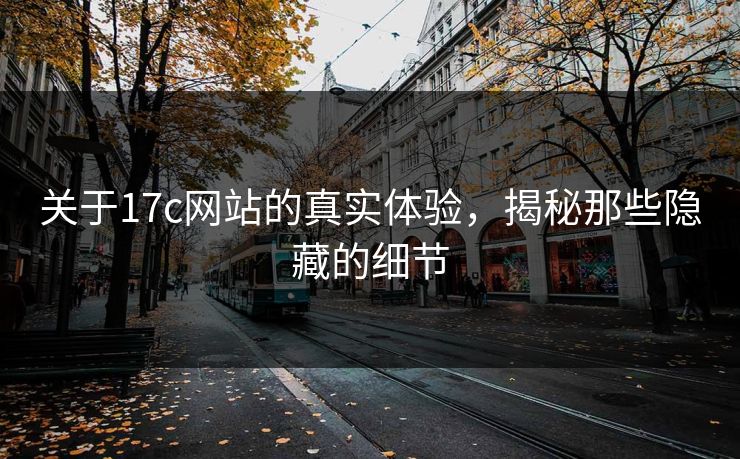 关于17c网站的真实体验，揭秘那些隐藏的细节