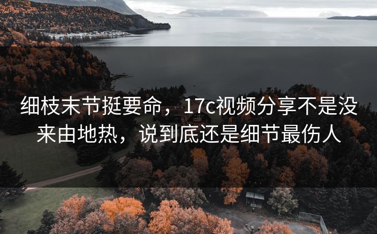 细枝末节挺要命，17c视频分享不是没来由地热，说到底还是细节最伤人