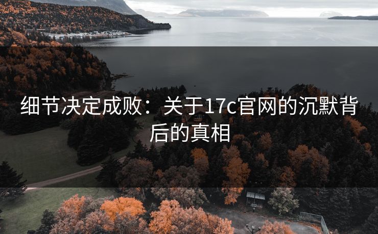 细节决定成败：关于17c官网的沉默背后的真相