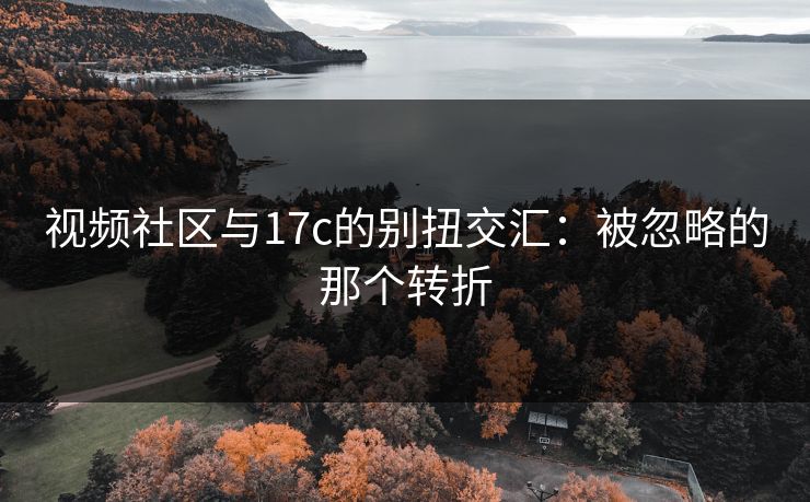 视频社区与17c的别扭交汇：被忽略的那个转折