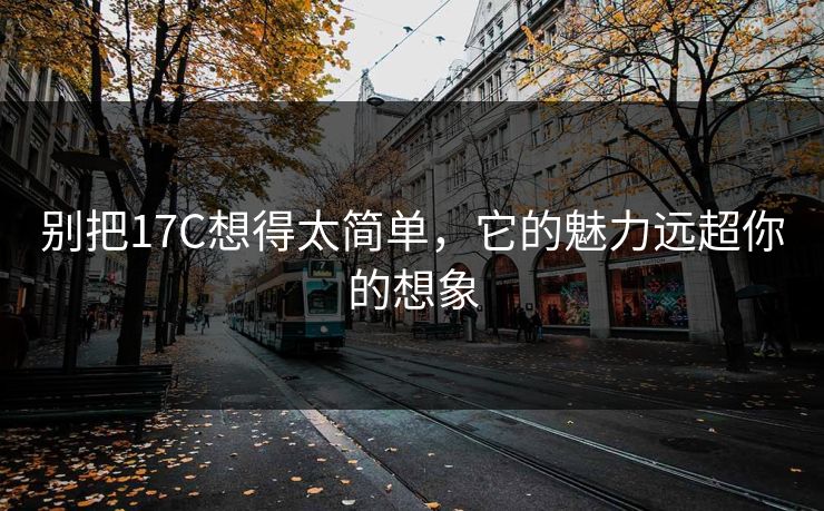 别把17C想得太简单，它的魅力远超你的想象